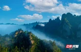 杨家界 “三高” 加持：夏日避暑的天然秘境