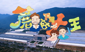 《蘑菇大小王》丨“光影创新”第三届湖南省微电影大赛“金芙蓉奖”